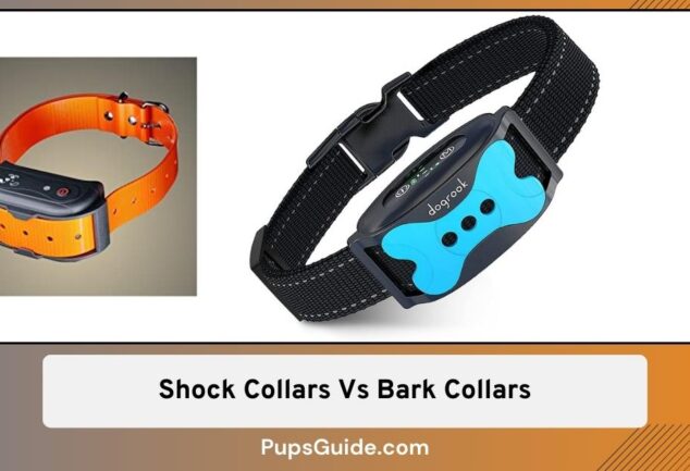 Shock Collars Vs Bark Collars