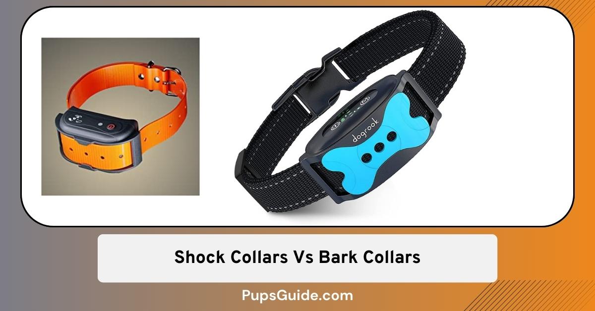 Shock Collars Vs Bark Collars Which One I Use? PupsGuide
