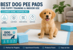 Best Dog Pee Pads